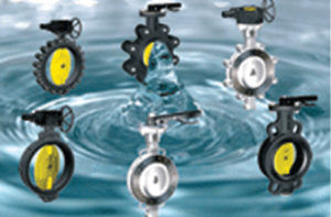 New Concepts in Designing Butterfly Valves
