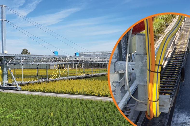 igus roller e-chain for targeted irrigation with savings potential