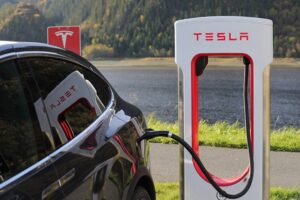 Gadkari Tesla OEM