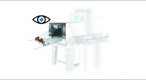 component