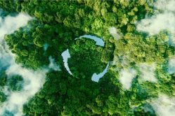 Sustainability