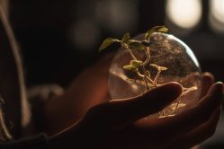 biomass
