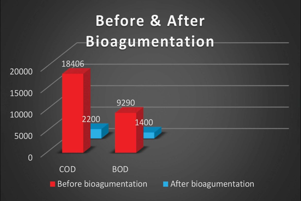 bioaugmentation
