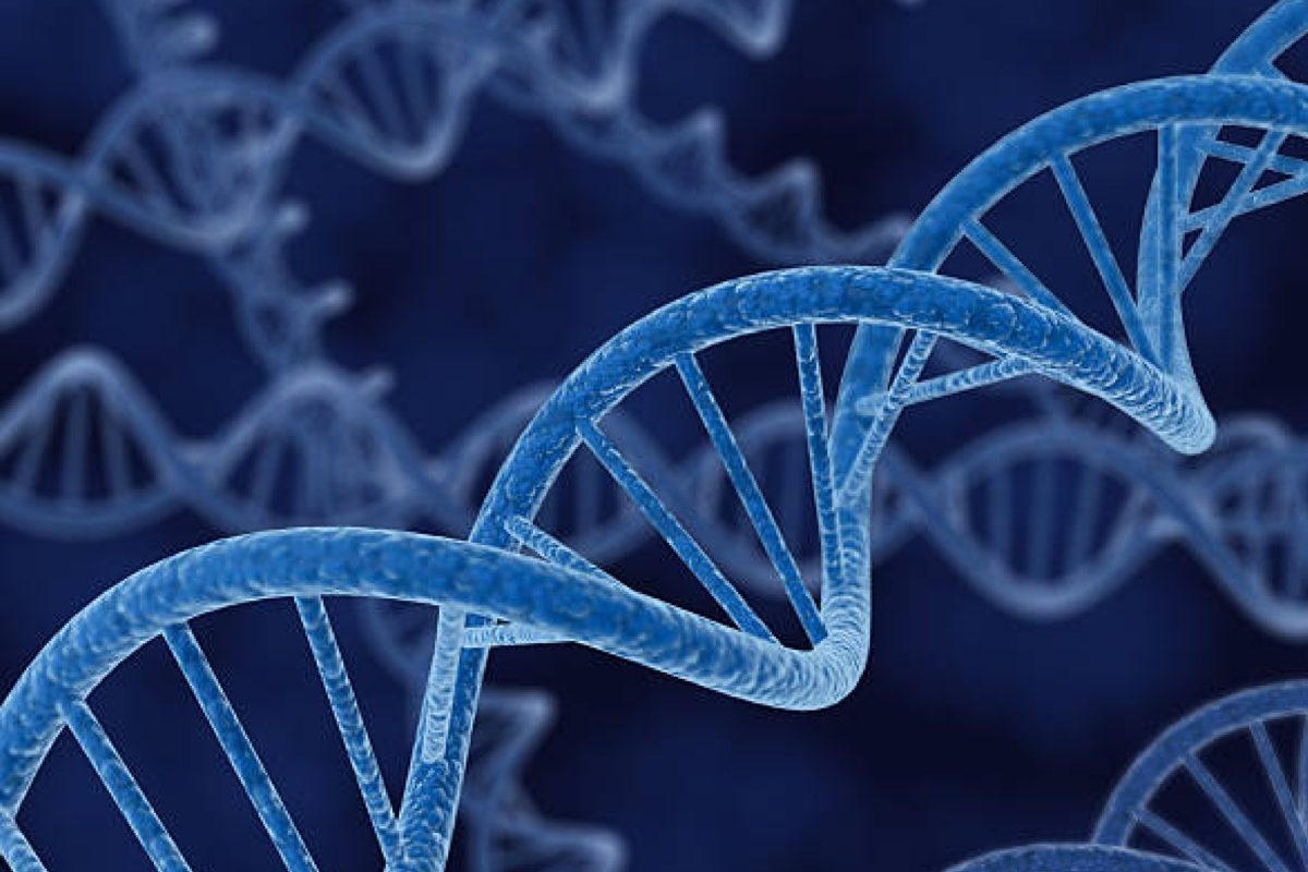 Biotechnology