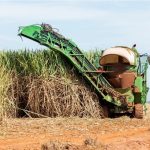 Balrampur Chini’s Bioyug to boost MSME role in biopolymer tech Balrampur Chini’s Bioyug to boost MSME role in biopolymer tech